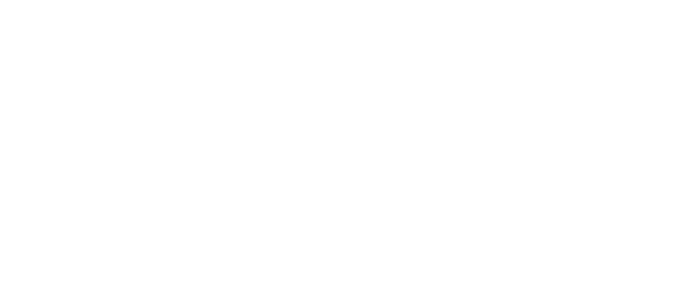 inpen logo white